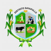 Municipalidad Distrital Sayapullo