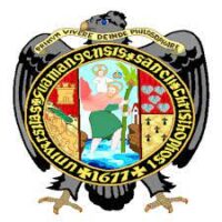 UNIVERSIDAD NACIONAL DE SAN CRISTOBAL DE HUAMANGA (UNSCH)