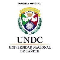 UNIVERSIDAD NACIONAL DE CAÑETE- UNDC